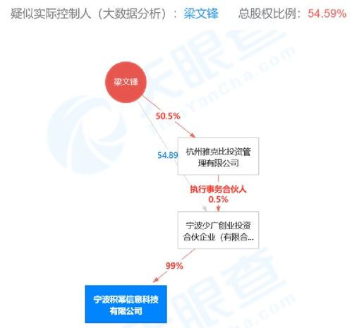 信息技術咨詢服務 數字化轉型的加速器